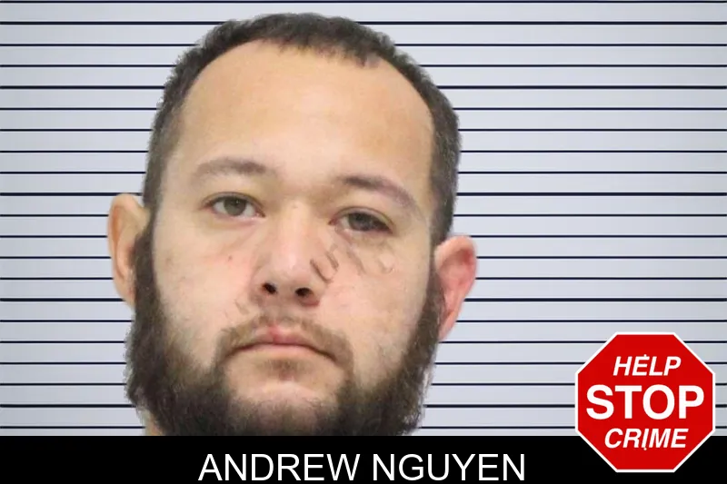 Andrew Nguyen mugshot