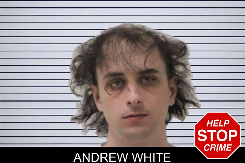 Andrew White mugshot