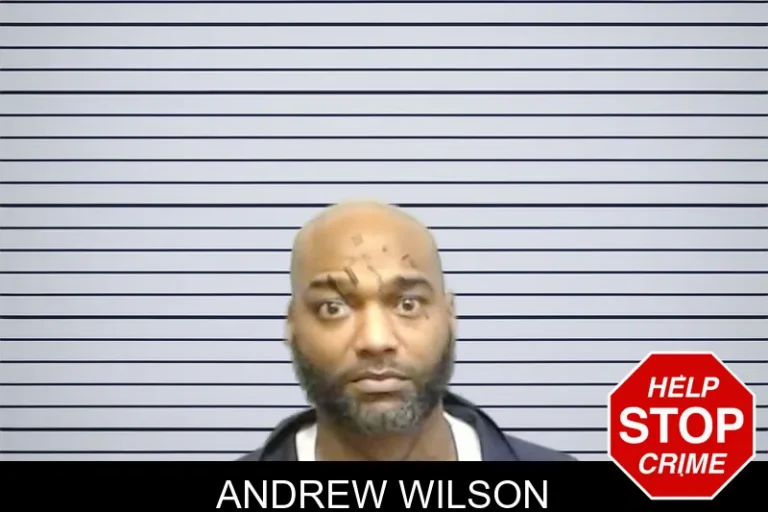 Andrew Wilson