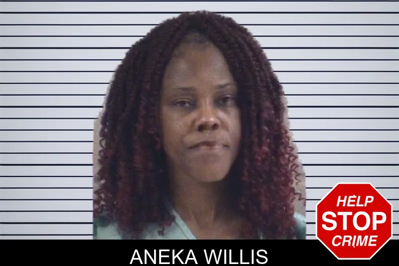Aneka Willis mugshot – Whitfield County , Georgia Aneka Willis mugshot