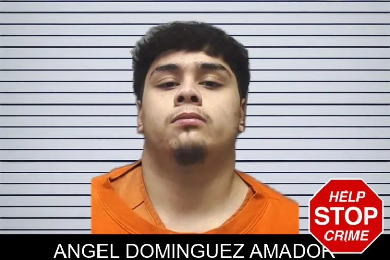 Angel Dominguez Amador mugshot – Cherokee County , Georgia Angel Dominguez Amador
