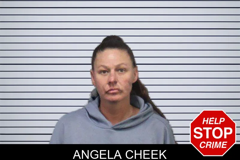 Angela Cheek mugshot – White County , Georgia Angela Cheek mugshot