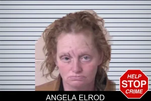 Angela Elrod mugshot
