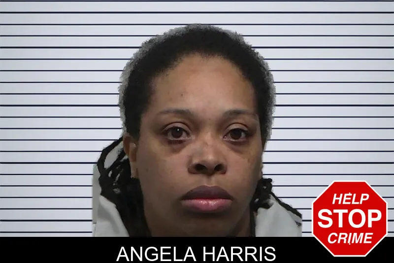Angela Harris mugshot – Tift County , Georgia Angela Harris mugshot