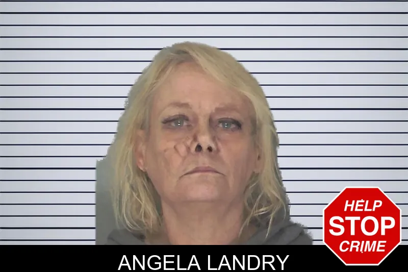 Angela Landry mugshot