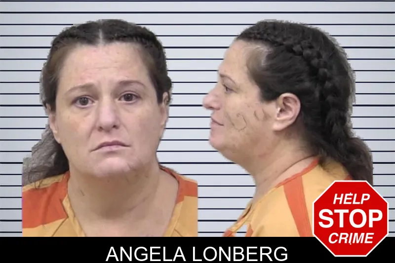 Angela Lonberg mugshot – Paulding County , Georgia Angela Lonberg mugshot