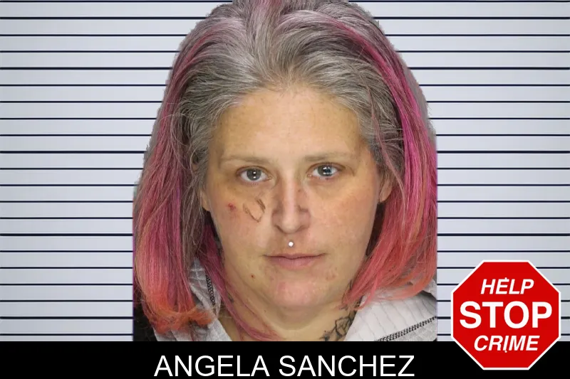 Angela Sanchez mugshot – Cobb County , Georgia Angela Sanchez mugshot