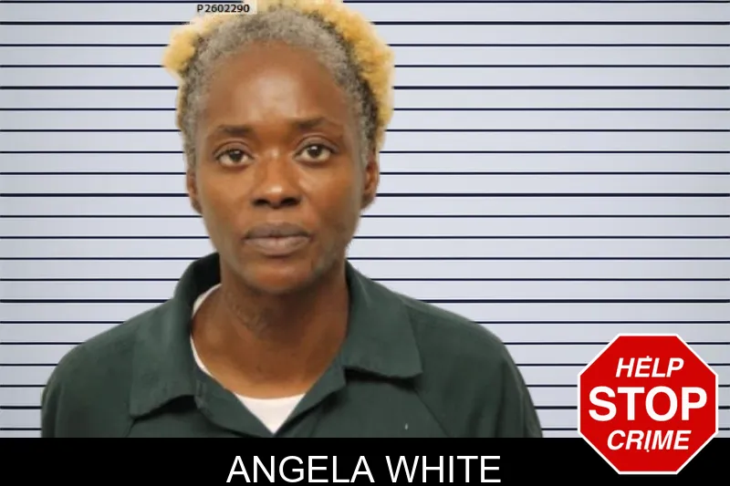 Angela White mugshot