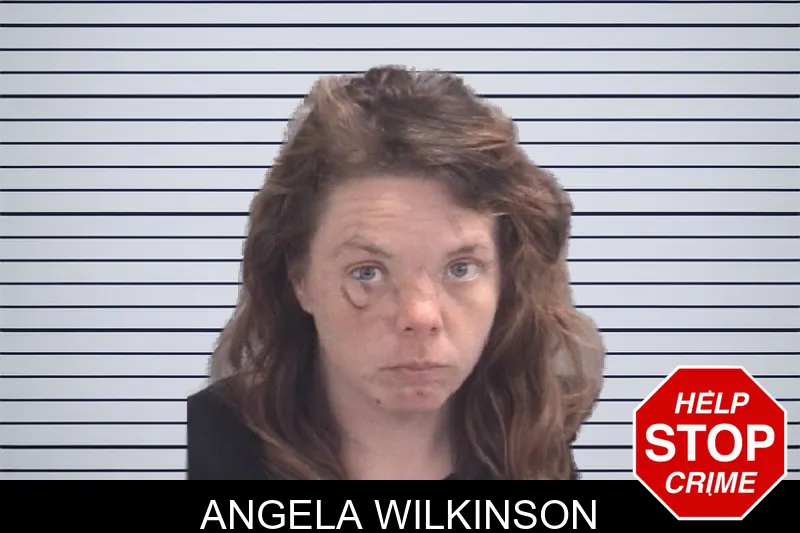 Angela Wilkinson mugshot – Spalding County , Georgia Angela Wilkinson mugshot