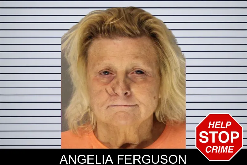 Angelia Ferguson mugshot