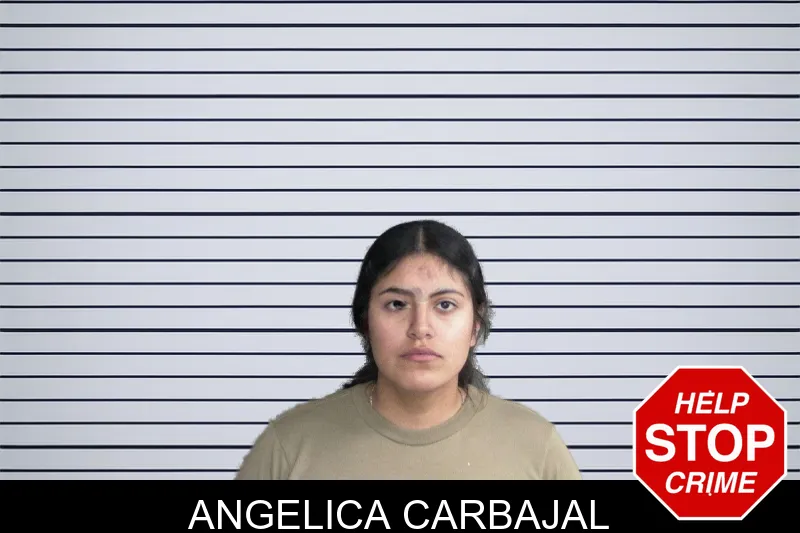 Angelica Carbajal mugshot