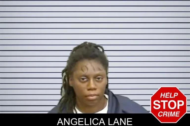 Angelica Lane