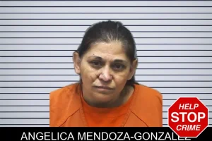 Angelica Mendoza-Gonzalez mugshot
