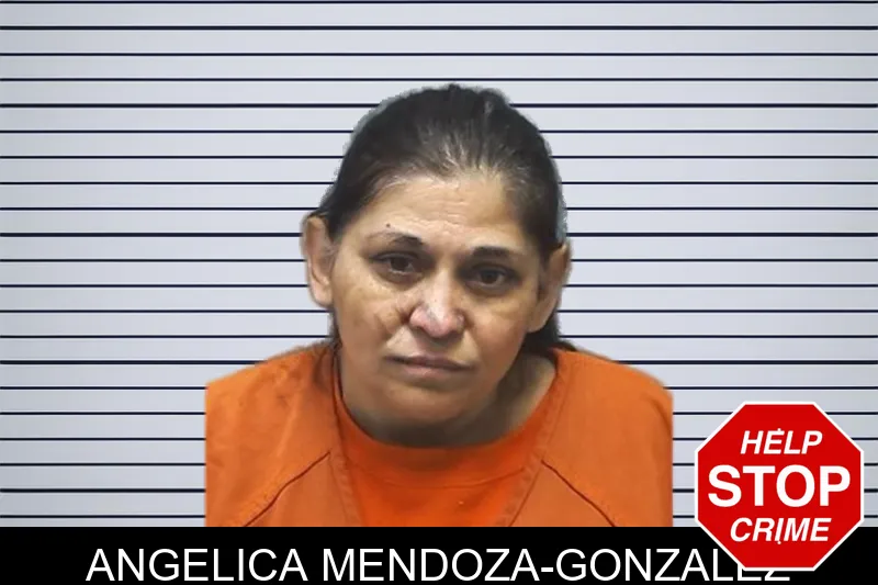 Angelica Mendoza-Gonzalez mugshot