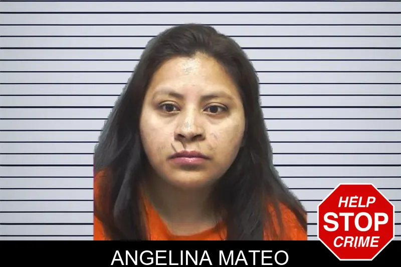 Angelina Mateo mugshot