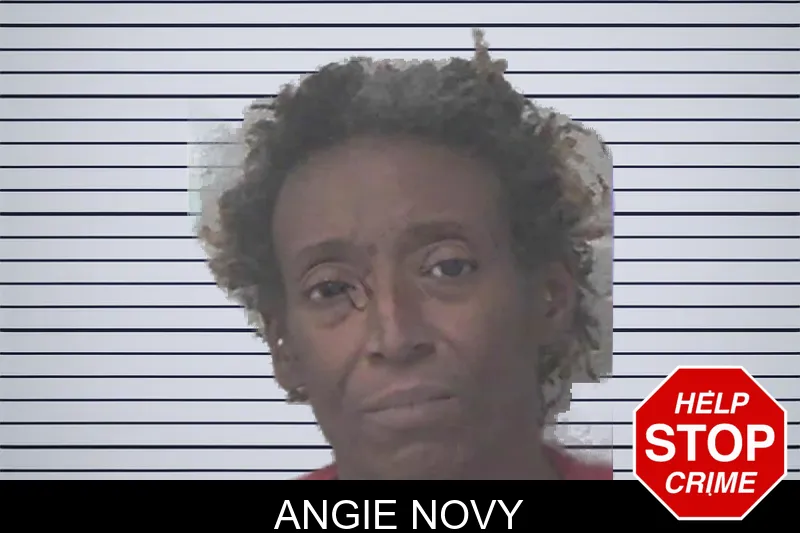 Angie Novy mugshot