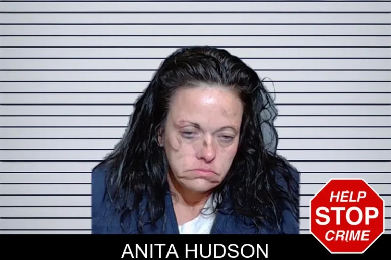 Anita Hudson mugshot – Glynn County , Georgia Anita Hudson