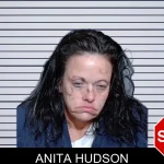 Anita Hudson mugshot