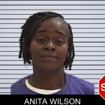 Anita Wilson mugshot