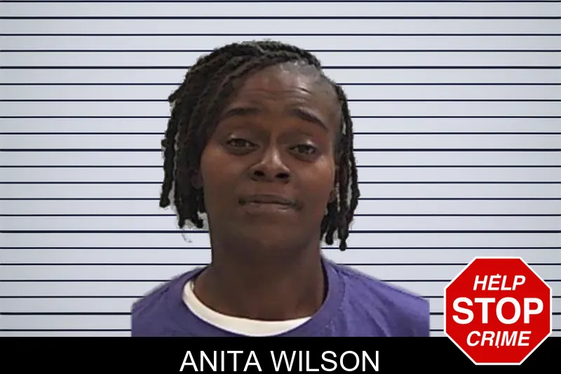 Anita Wilson mugshot