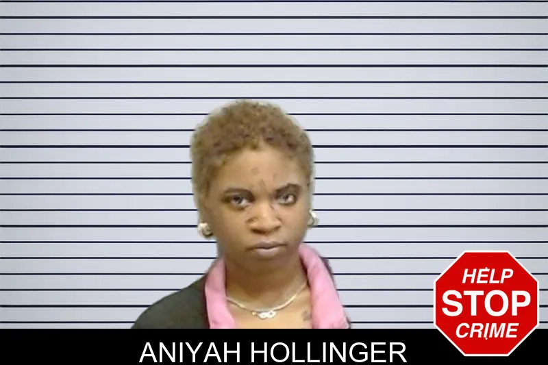 Aniyah Hollinger mugshot – Fulton County , Georgia Aniyah Hollinger mugshot