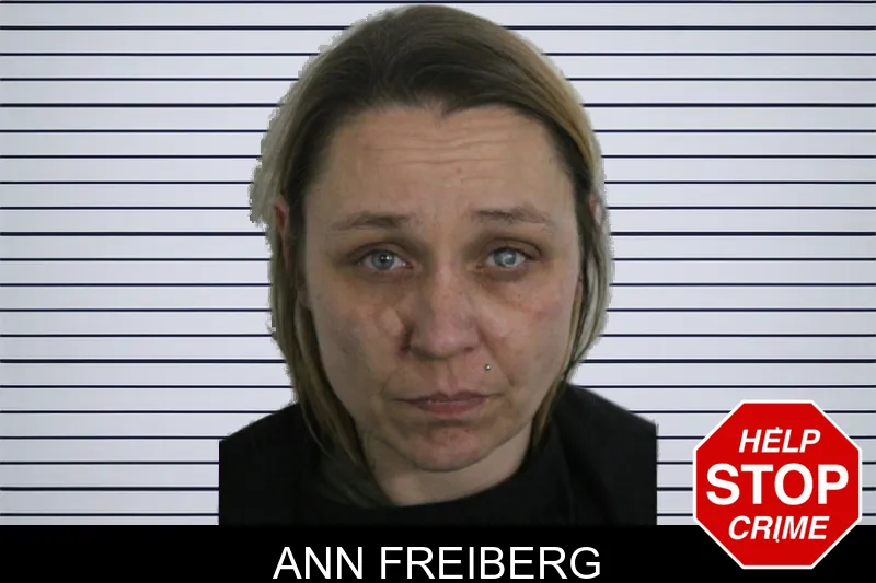 Ann Freiberg mugshot