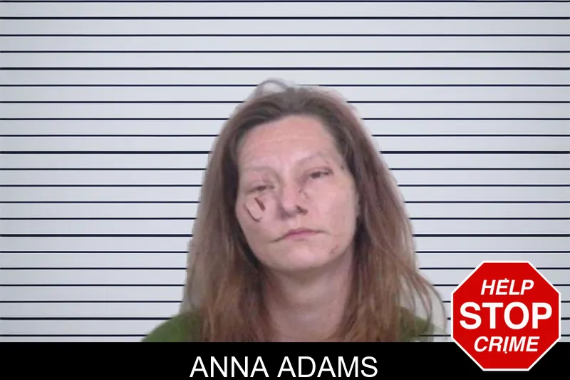 Anna Adams mugshot – Washington County , Georgia Anna Adams mugshot