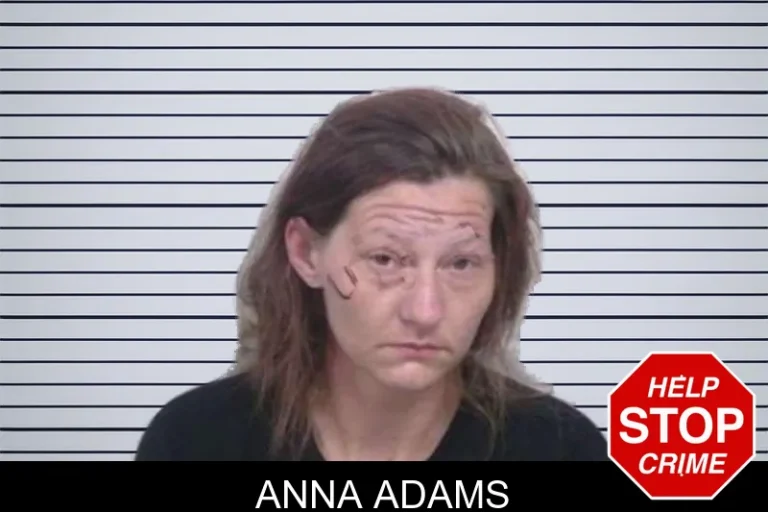 Anna Adams mugshot – Washington County , Georgia Anna Adams
