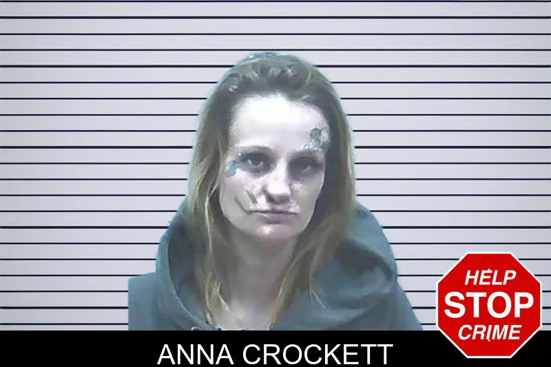 Anna Crockett mugshot