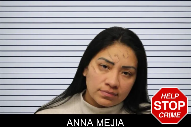 Anna Mejia mugshot – Chatham County , Georgia Anna Mejia mugshot