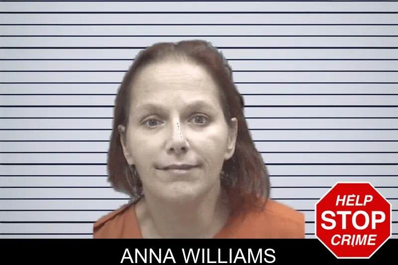 Anna Williams mugshot