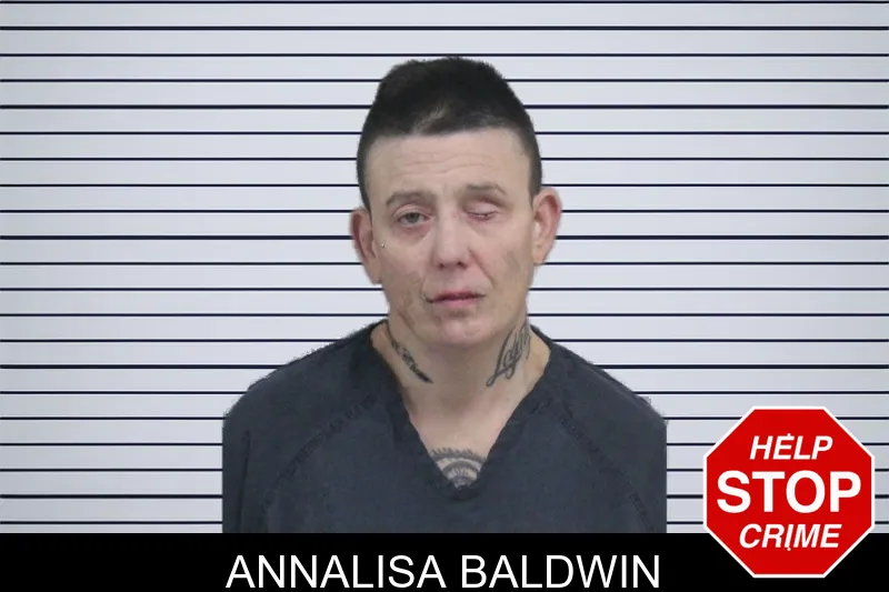Annalisa Baldwin mugshot