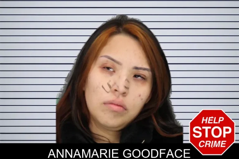 Annamarie Goodface mugshot – Cobb County , Georgia Annamarie Goodface