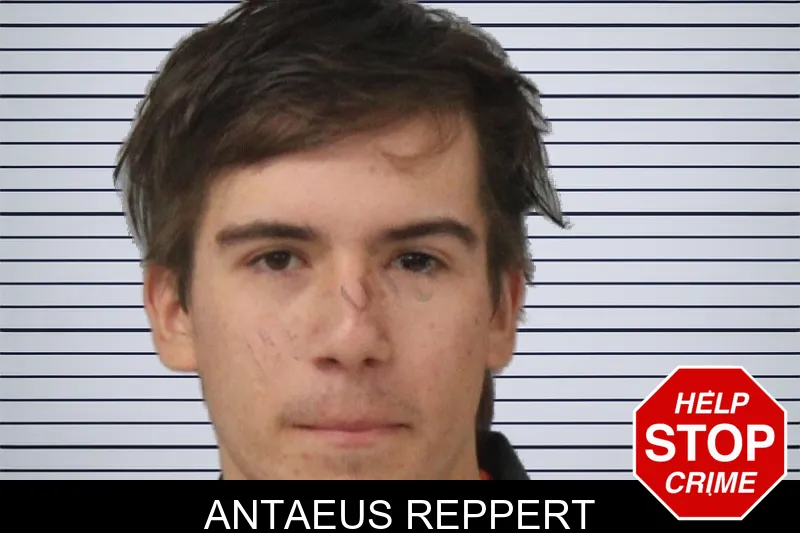 Antaeus Reppert mugshot – Mcintosh County , Georgia Antaeus Reppert mugshot