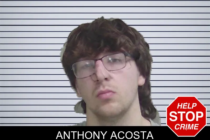 Anthony Acosta mugshot – Wayne County , Georgia Anthony Acosta mugshot