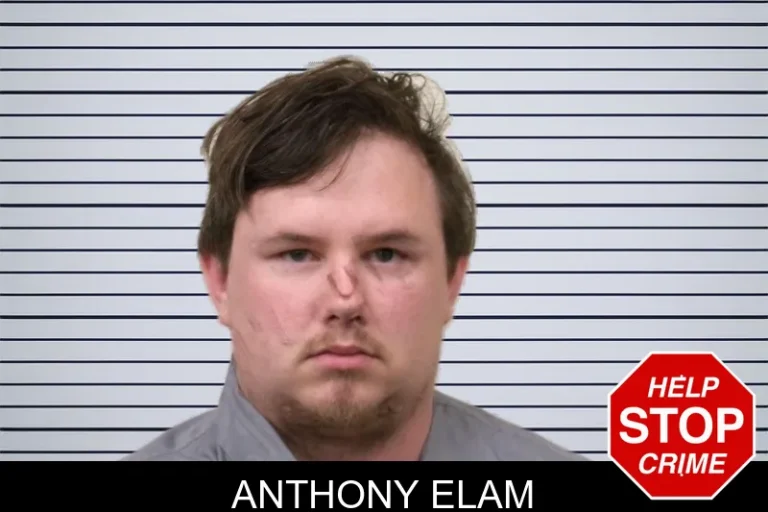 Anthony Elam mugshot – Bulloch County , Georgia Anthony Elam