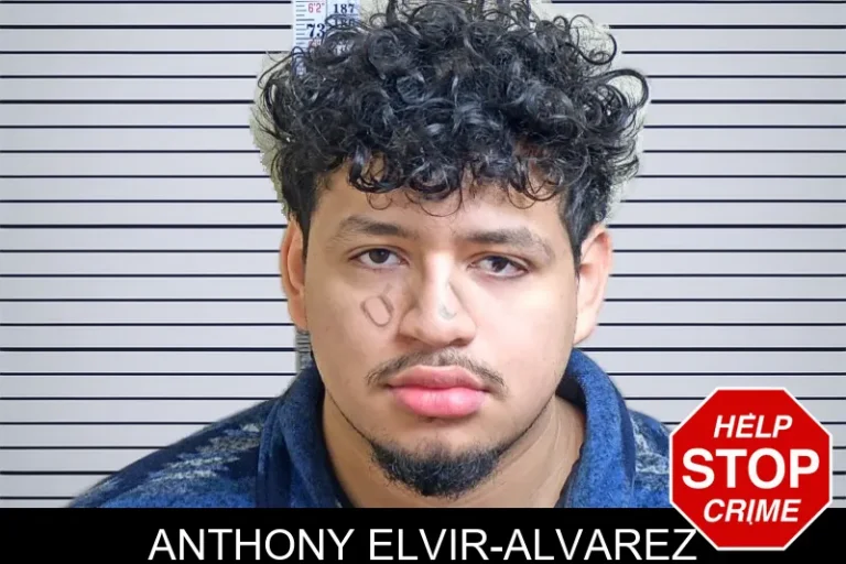 Anthony Elvir-Alvarez