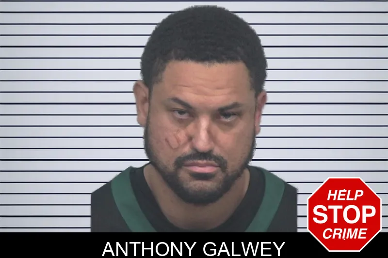 Anthony Galwey mugshot