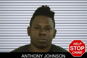 Anthony Johnson mugshot