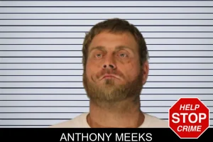 Anthony Meeks mugshot