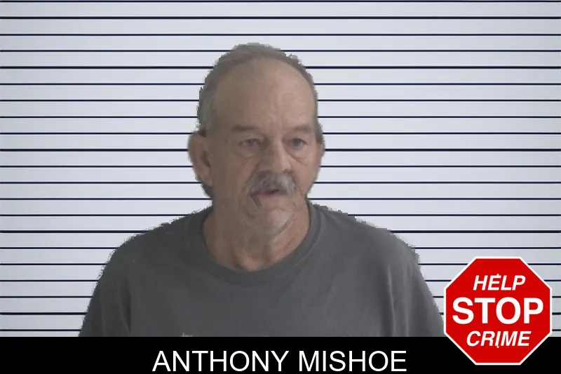 Anthony Mishoe mugshot – Brantley County , Georgia Anthony Mishoe mugshot