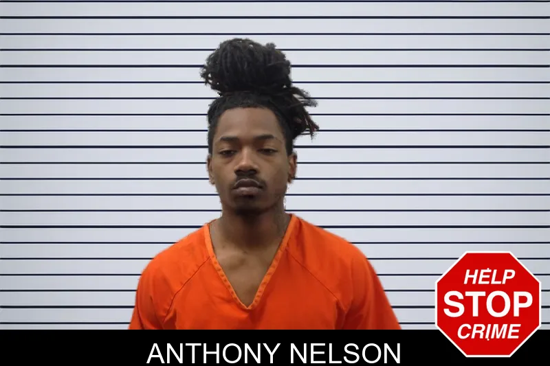 Anthony Nelson mugshot