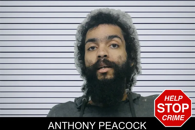 Anthony Peacock mugshot