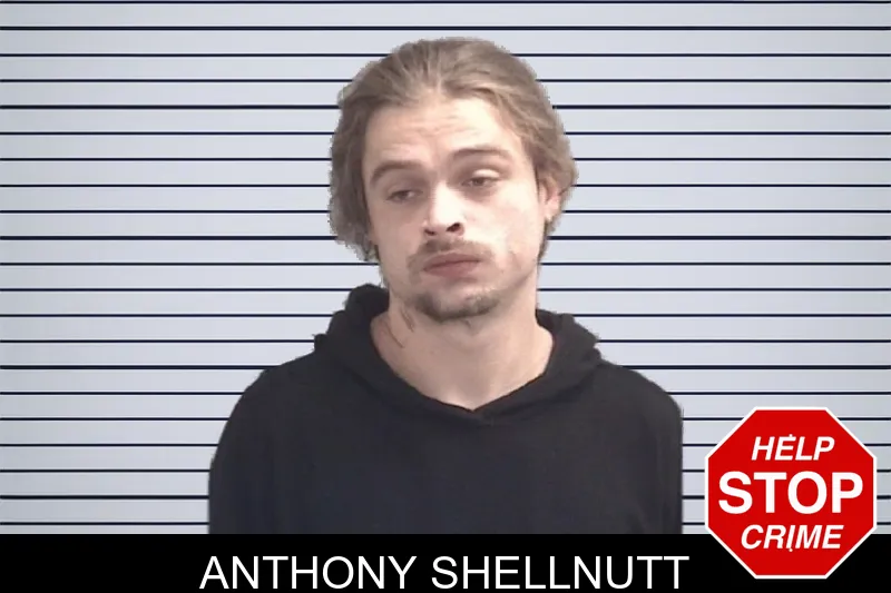 Anthony Shellnutt mugshot