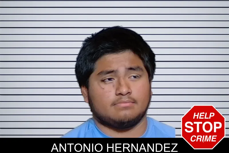 Antonio Hernandez mugshot – Glynn County , Georgia Antonio Hernandez mugshot