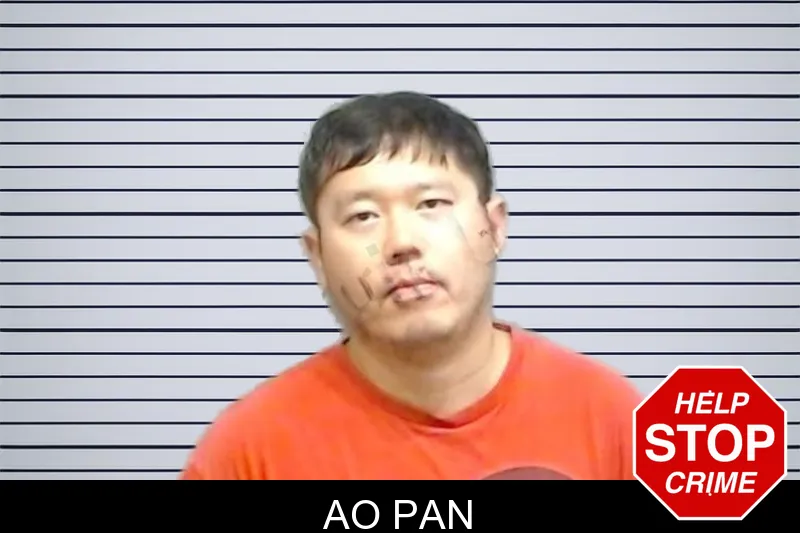 Ao Pan mugshot – Fulton County , Georgia Ao Pan mugshot