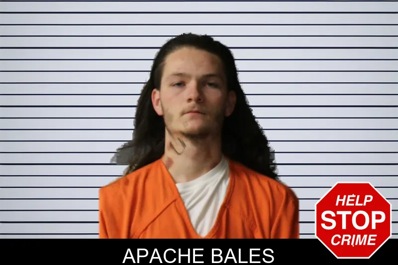 Apache Bales mugshot