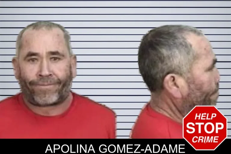 Apolina Gomez-Adame mugshot – Camden County , Georgia Apolina Gomez-Adame