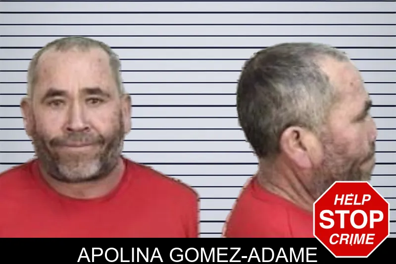 Apolina Gomez-Adame mugshot