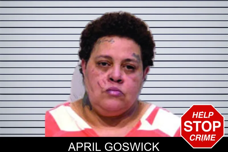 April Goswick mugshot